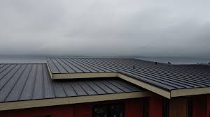 Best Metal Roofing Installation  in Shields, MI